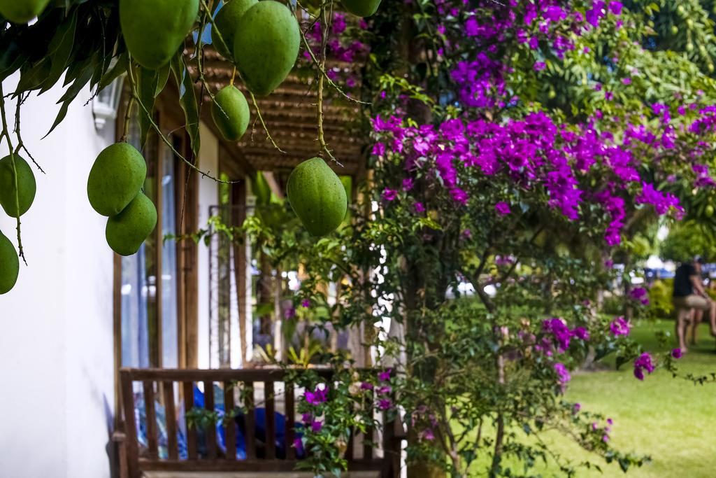 La Em Casa - Guest House Barra Grande  Eksteriør bilde